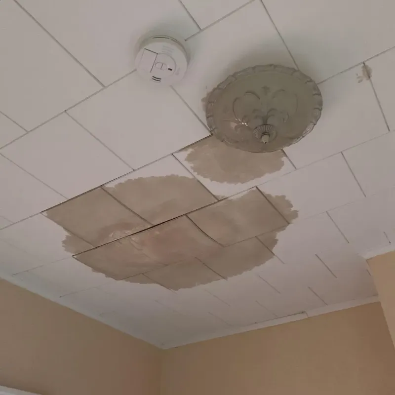 Ceiling Water Damage Repair in Fairhope, PA