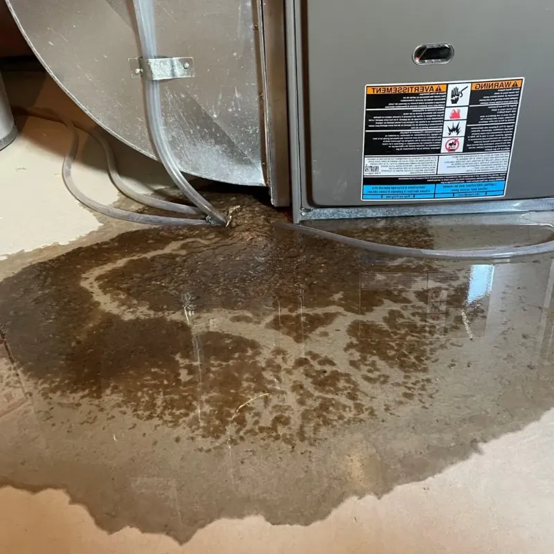 Pipe Burst and Leak Restoration in Fairhope, PA